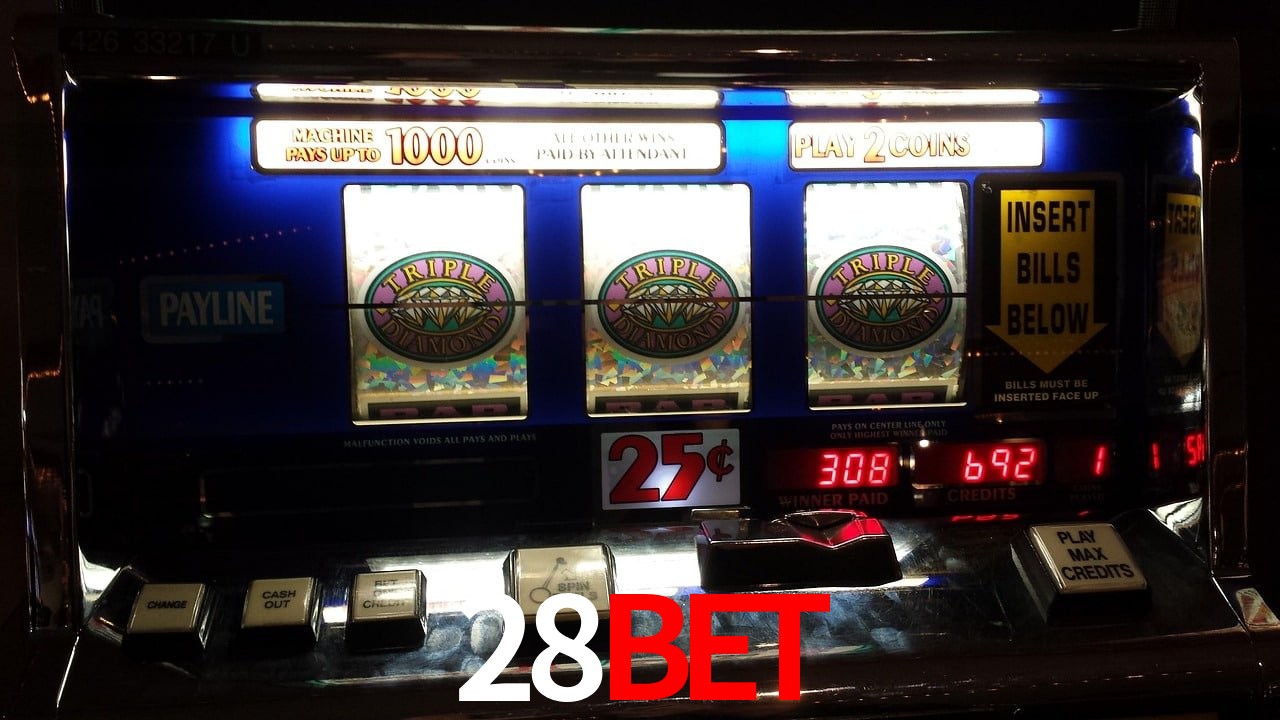 Sports Statistics 28BET
